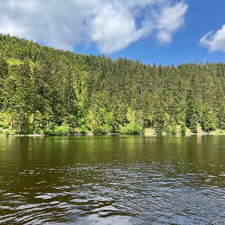 An Wanderwegen Gelegen Mit Terrasse Und Boxspringbett Leilighet Sasbachwalden Eksteriør bilde