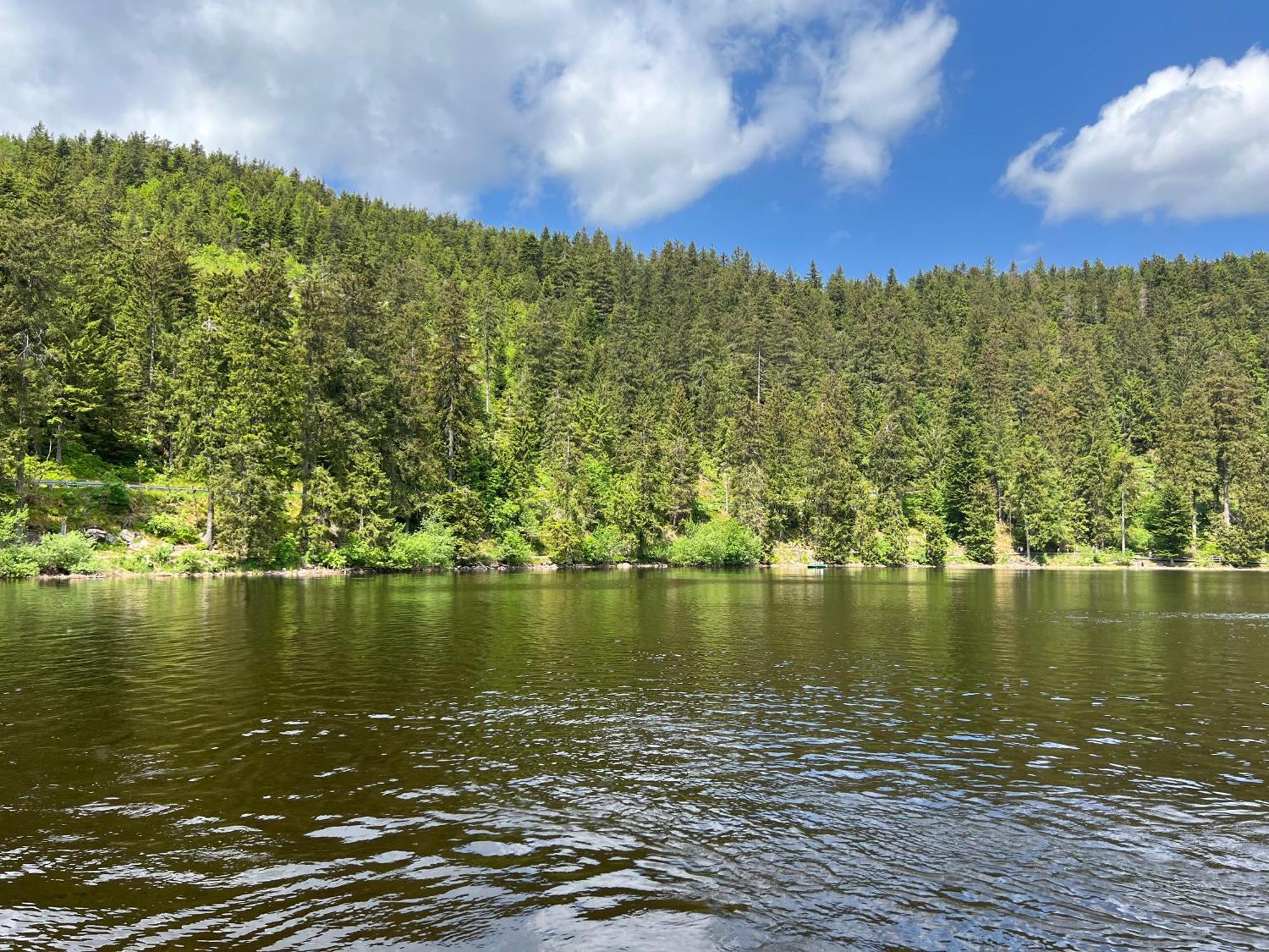 An Wanderwegen Gelegen Mit Terrasse Und Boxspringbett Leilighet Sasbachwalden Eksteriør bilde